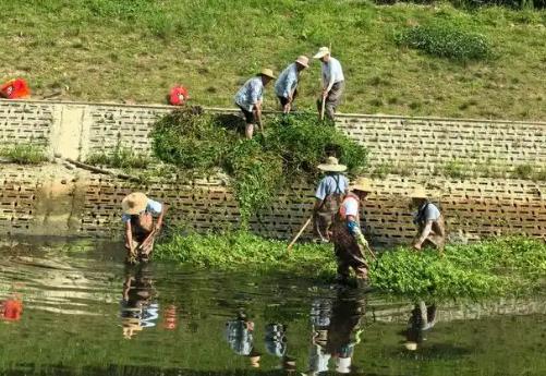 河道管理