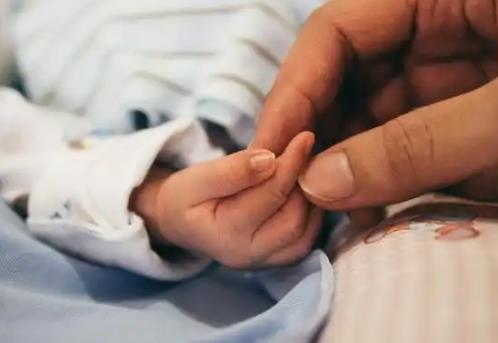 2025年新生儿领养政策