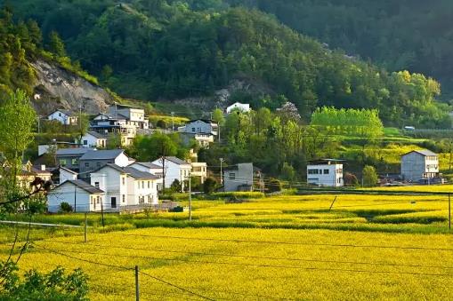 农村宅基地新政策2025规定