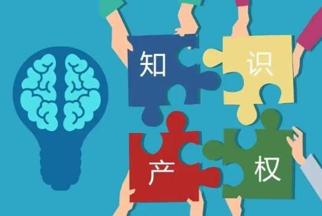 杭州市知识产权保护和促进条例2025全文