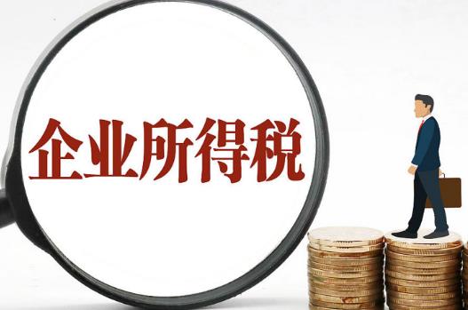企业所得税纳税人