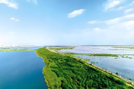 内蒙古自治区湿地保护条例2025全文
