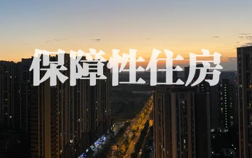 廉租住房保障办法2025全文