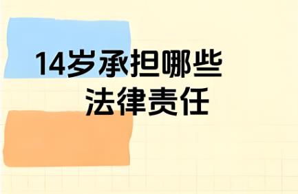 14岁承担哪些法律责任
