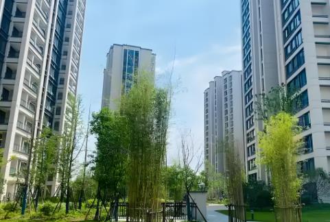 2025年违建影响采光如何索赔?