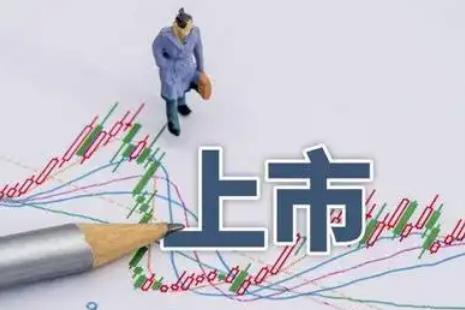 公司要达到什么要求才能上市?