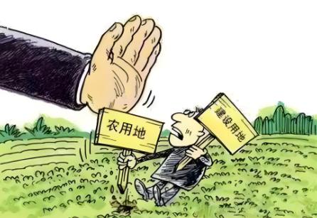 2025年中华人民共和国耕地占用税法全文