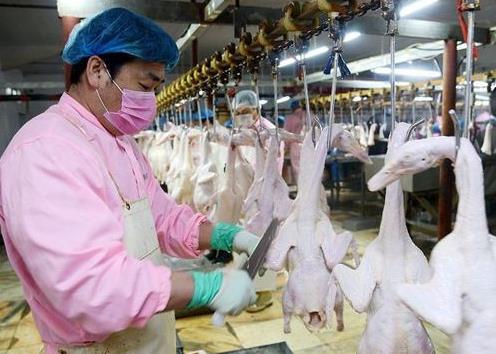 黑龙江省畜禽屠宰管理条例2025修订