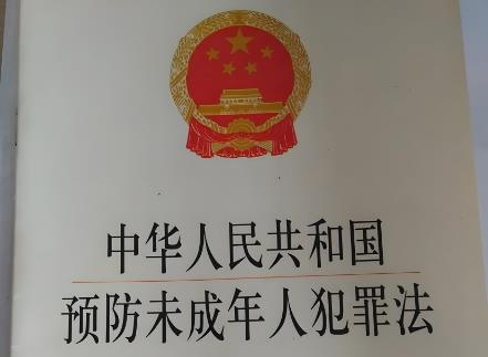 中华人民共和国预防未成年人犯罪法2025修订