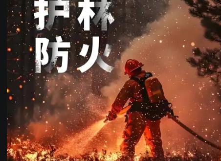 锦州市森林防火条例2025全文