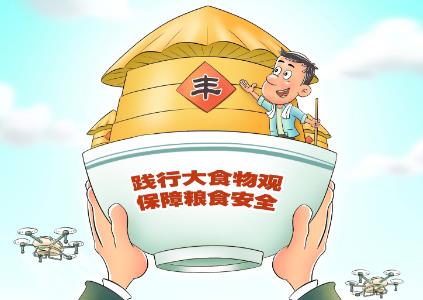 粮食质量安全监管办法2025全文