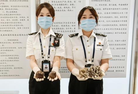 中华人民共和国海关风险管理办法2025全文