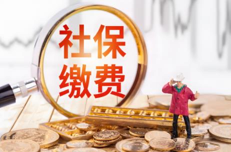 灵活就业人员社保缴费标准2025年最新