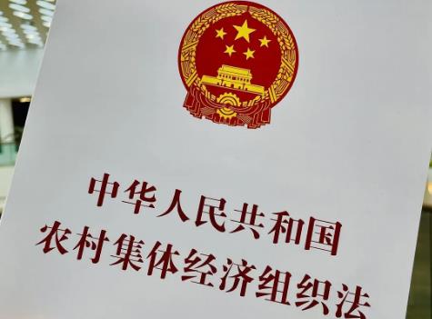 村民委员会组织法