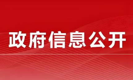 海口市政府信息公开规定2025全文
