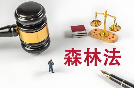2025年中华人民共和国森林法修订全文