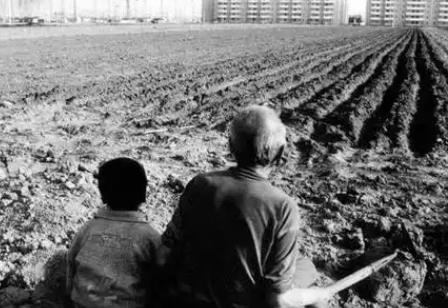 2025年农村失地农民养老保险政策