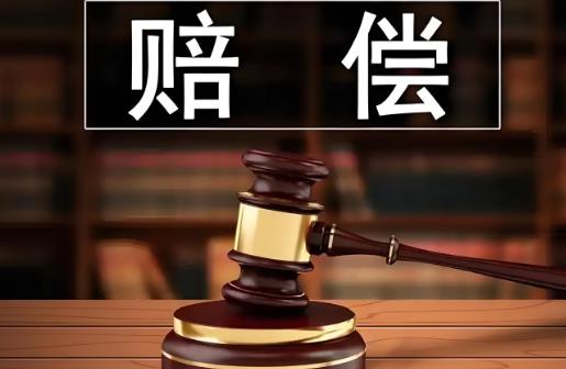 2025年行政赔偿最新标准