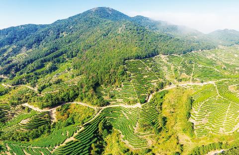 国家储备林建设管理办法2025全文
