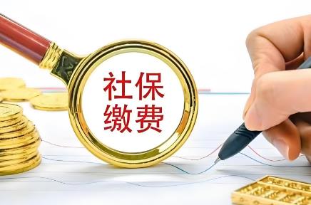 员工社保缴纳规定标准2025年