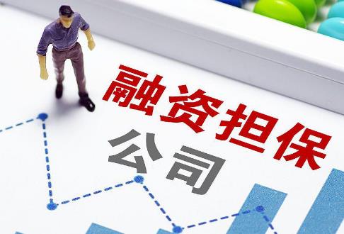 政府性融资担保发展管理办法2025全文
