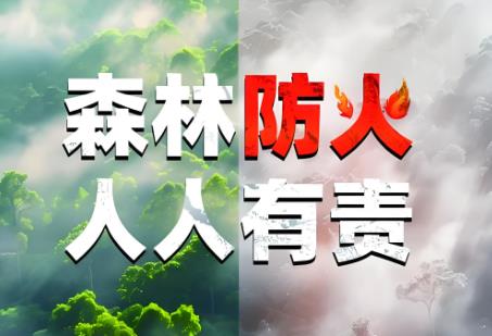 威海市森林防火规定2025全文
