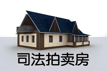 农村自建房拍卖最新法律规定2025年