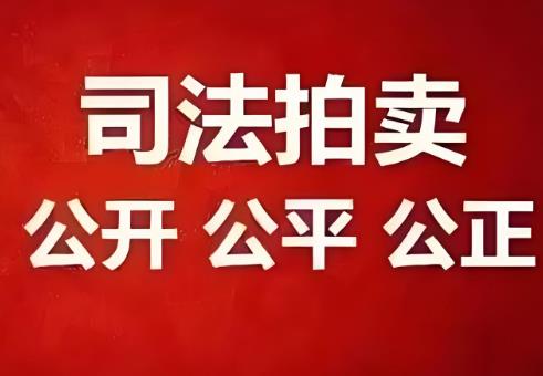 2025年中华人民共和国拍卖法修正