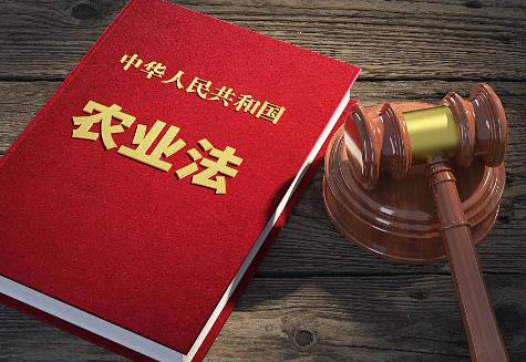 2025年中华人民共和国农业法修正全文