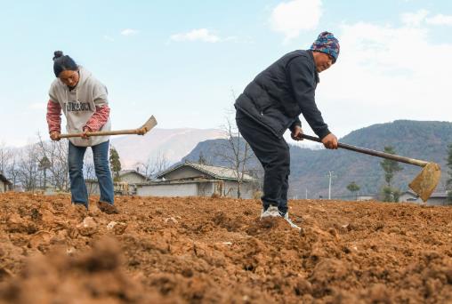 农村土地承包合同管理办法2025全文