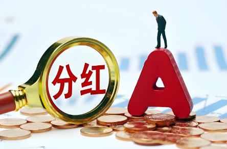 2025年农村股份分红最新规定