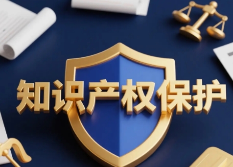 石家庄市知识产权保护与促进条例2025全文
