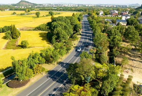 山东省农村公路条例2025全文