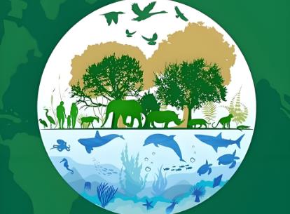 玉树藏族自治州野生动物保护条例2025全文