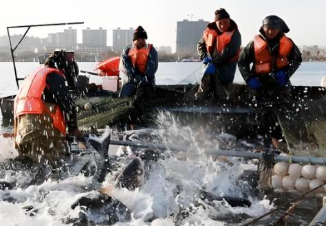 陕西省渔业法实施办法2025最新版