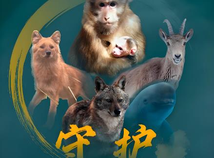 山西省野生动物保护法实施办法2025最新版