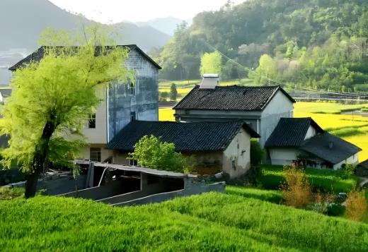 2025年农村宅基地申请最新规定标准