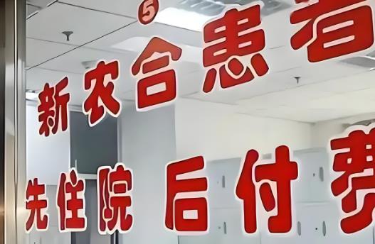 新农合报销比例2025标准最新