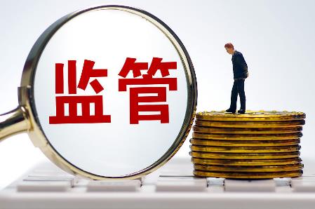 2025年​深圳经济特区审计监督条例最新修订
