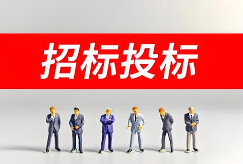 工程建设项目招标投标活动投诉处理办法2025全文