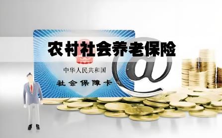 宁夏农村养老保险缴费标准和领取标准2025最新