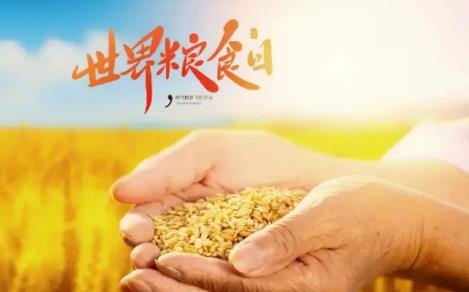 2025年山东省粮食安全保障条例最新