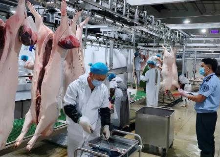 生猪定点屠宰厂(场)设置审查规定2025全文