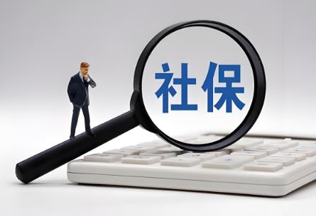 2025年上海灵活就业人员社保缴费基数