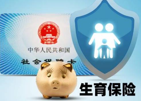 2025年湖南省城镇职工生育保险办法全文
