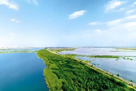 2025年淮安市湿地保护条例全文
