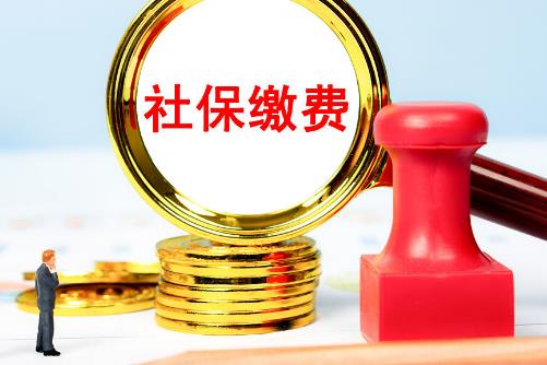 2025年城乡居民社保缴费标准与领取金额