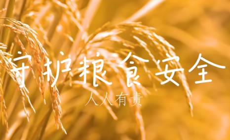 贵州省粮食安全保障条例2025全文