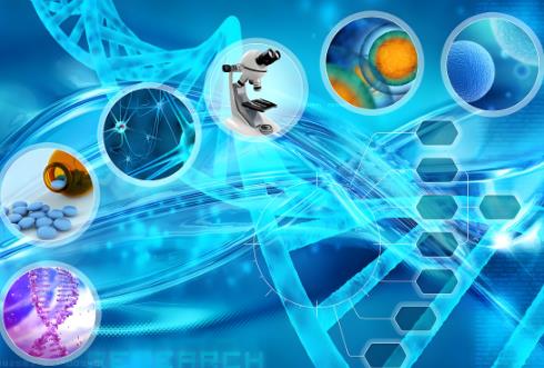 2025年生物医学新技术临床研究和临床转化应用管理条例最新