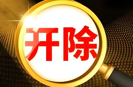 公务员开除党籍工资待遇规定2025年